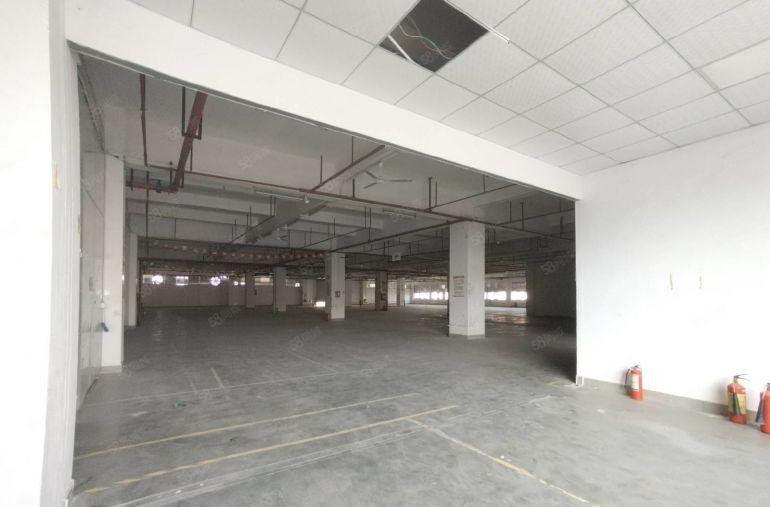 深圳里的凤岗观澜交接处原房东3100平可分组价格实惠