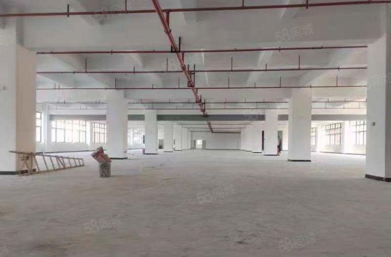 凤岗金凤凰全新原房东独门独院工业园分租一千起.可以电商仓库