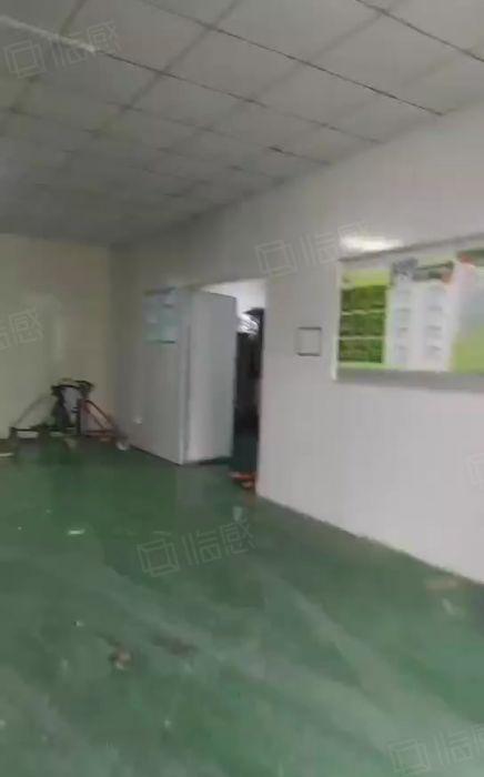 凤岗雁田一楼厂房出租980平方 现成办公室主线到车间