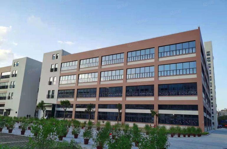 原业主0公摊直租！凤岗金凤凰独栋10000平红本厂房仓库出租