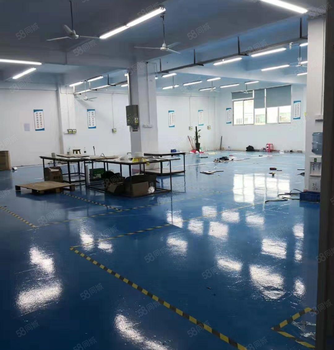 凤岗金凤凰二楼500平方带办公室装修厂房出租