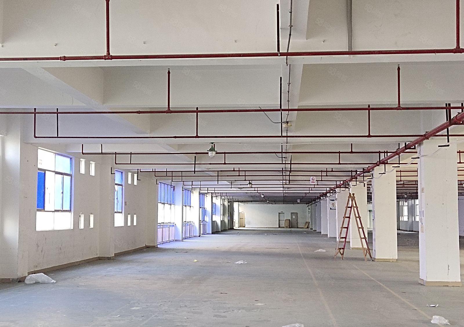 凤岗开达工业园独院2800平仓库厂房出租可分租