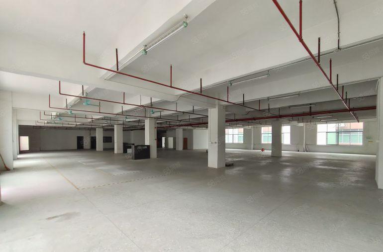 凤岗金凤凰楼上1500平租金14元厂房出租现成办公室水电