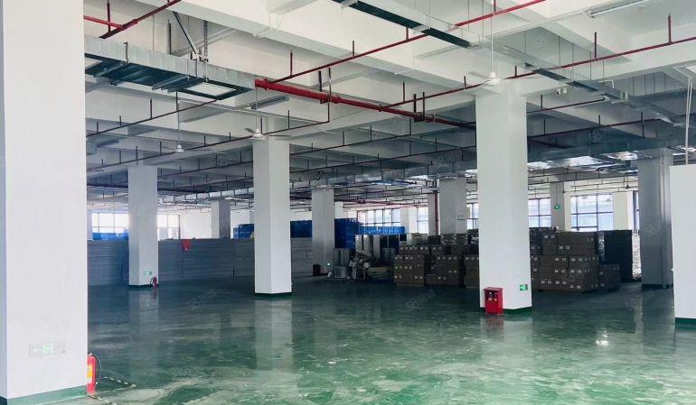 15元凤岗玻璃幕墙单层面积4200平带卸货平台全新地坪漆