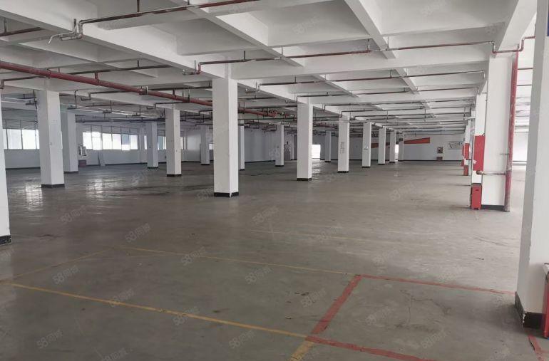 凤岗金凤凰工业园.原房东独门独院一楼分租1500平方可办环评