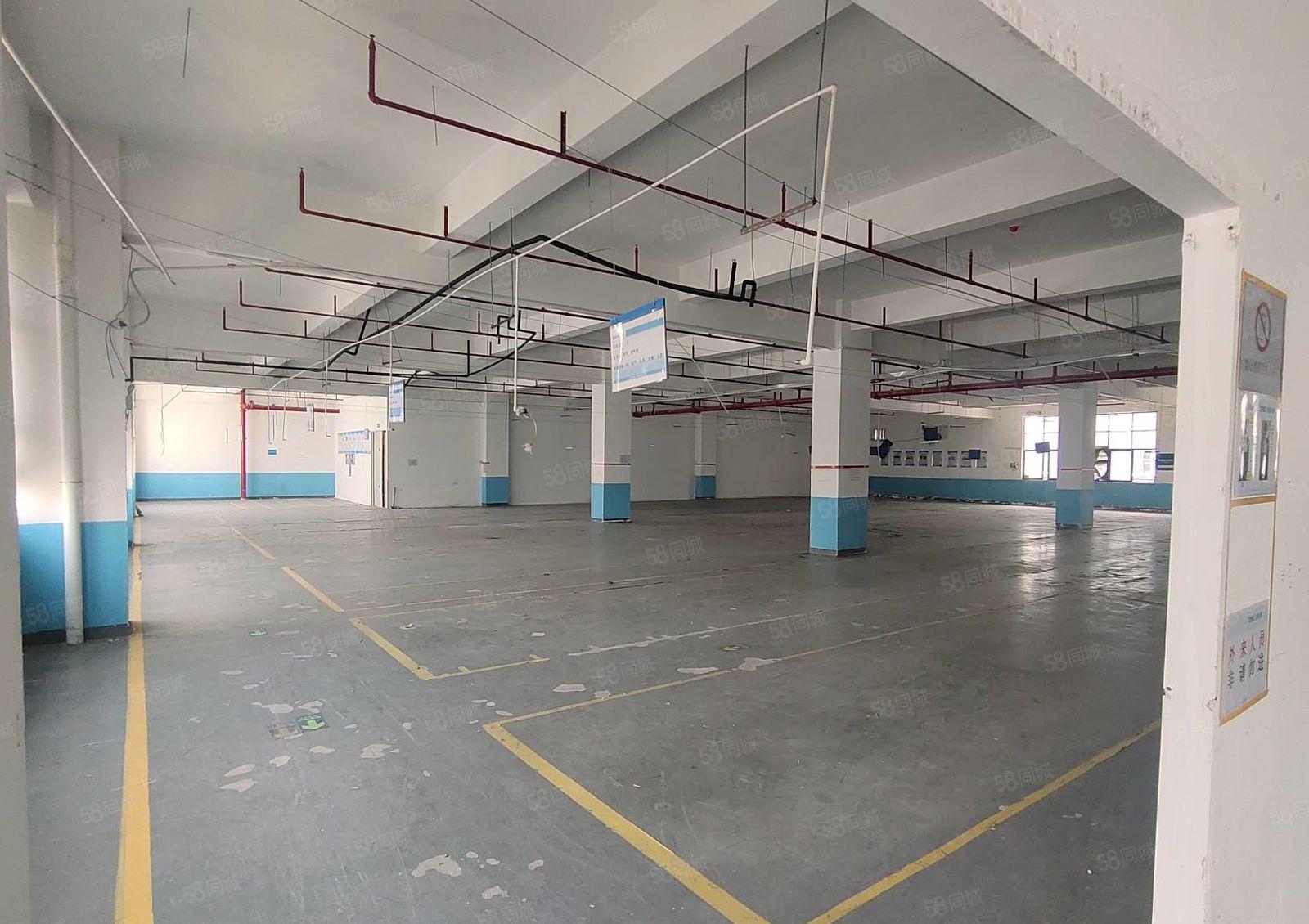 想要高端园区往这看整层3280平方7楼实际面积电子科研组装等