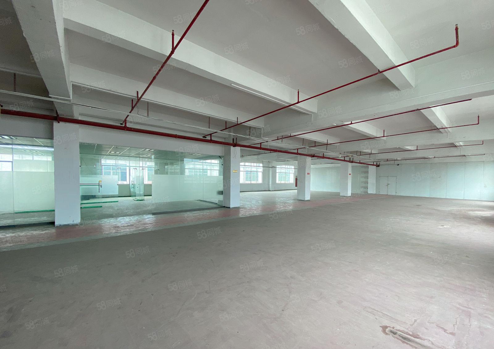 凤岗金凤凰工业区楼上1300平厂房出租现成办公室水电