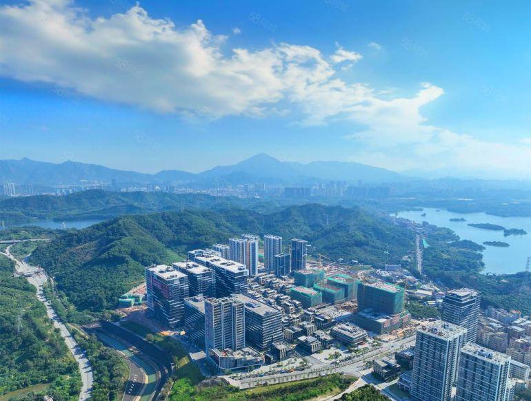 临深产业园区全新厂房出租，业主直租，价格19元层高6米