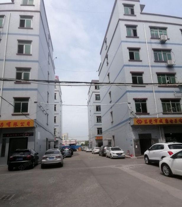 凤岗油甘埔新出四楼1200平方带精装修，附近好招工低价12元