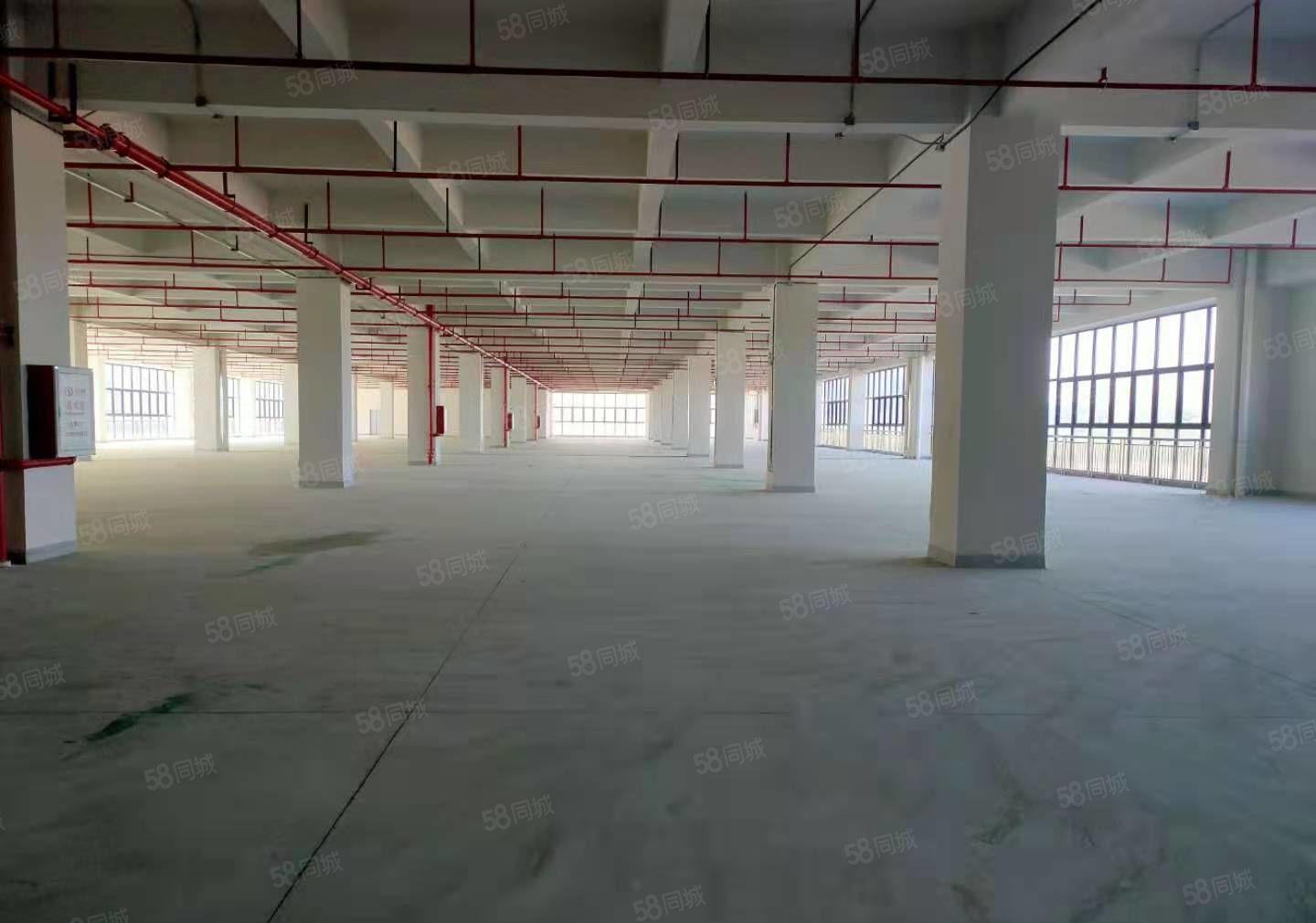 东莞塘凤清高速路出口带红本高新产业园厂房出租楼上5000平方