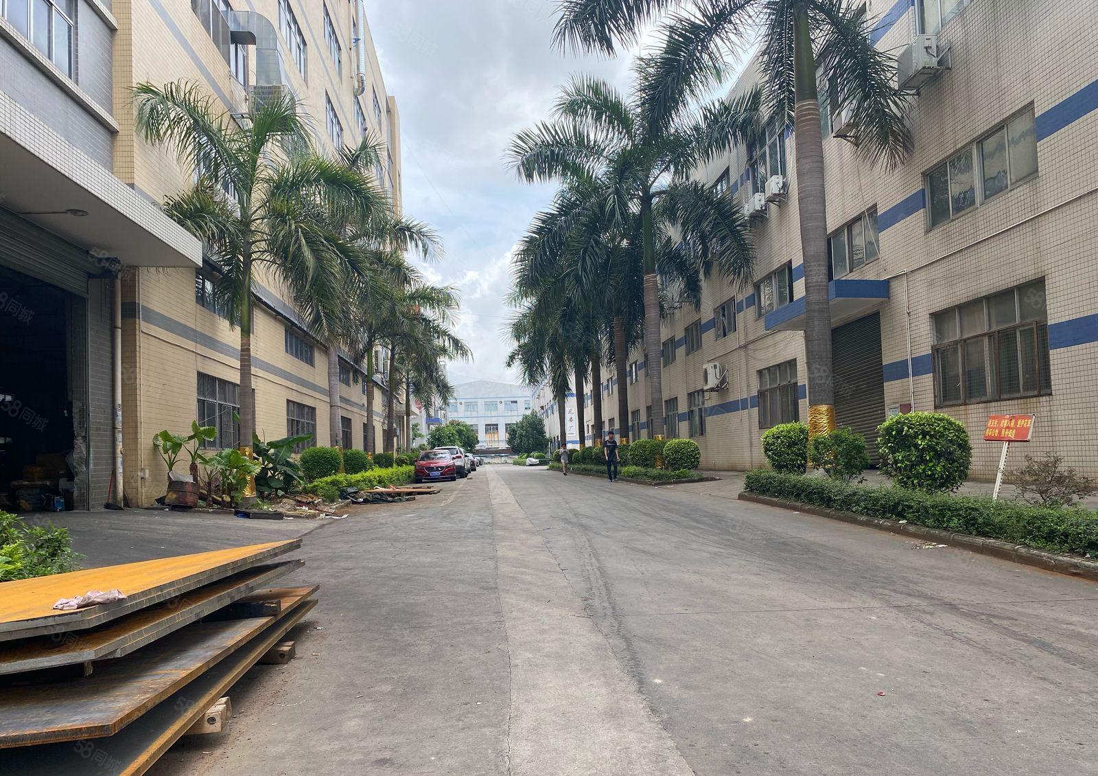 16元雁田新出原房东楼上500平厂房仓库出租，空地大无公摊