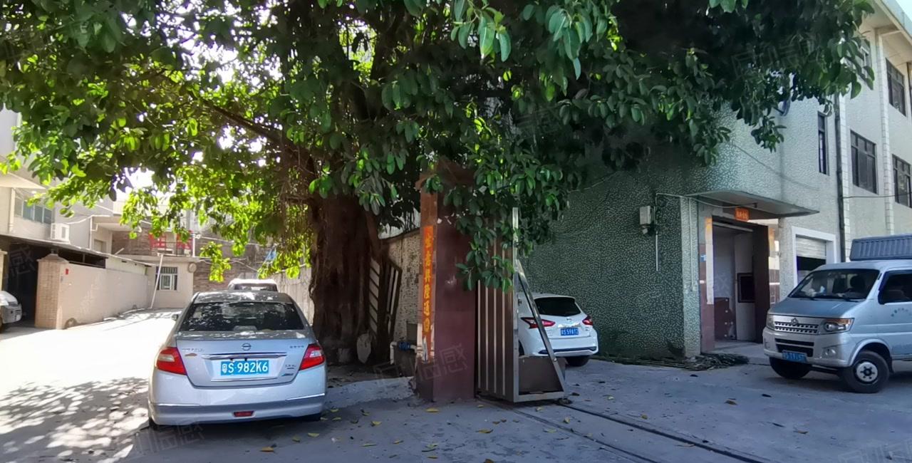 凤岗官井头小布工业区独栋1000平一楼标准仓库厂房出租可分租