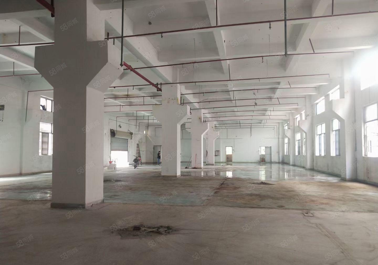 凤岗雁田水贝工业区新出一楼高度5米1350平方，空地大