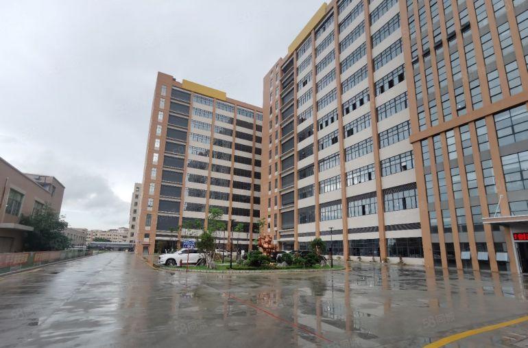 原房东全新厂房已接通主线）凤岗经典2500平方米全新厂房出租