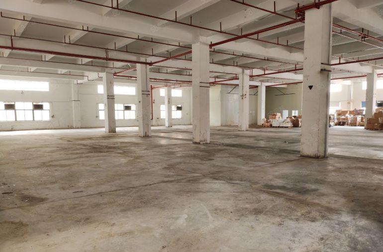 凤岗雁田靠近深圳平湖厂房仓库出租低价出租2300平可分租