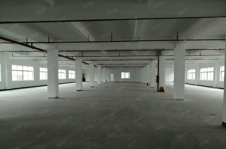 凤岗金凤凰工业区原房东独院22000平出租带办公室装修可分租