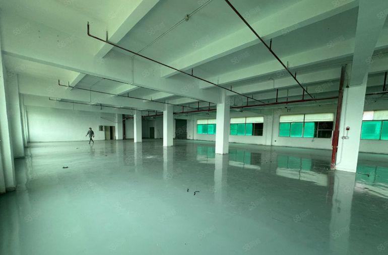 凤岗油甘埔原房东厂房出租1200平全新装修靠近主路配两吨货梯