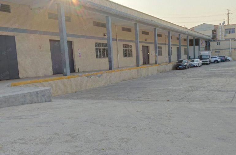 单层钢构3600平原房东无公摊带卸货平台靠近深圳滴水8米