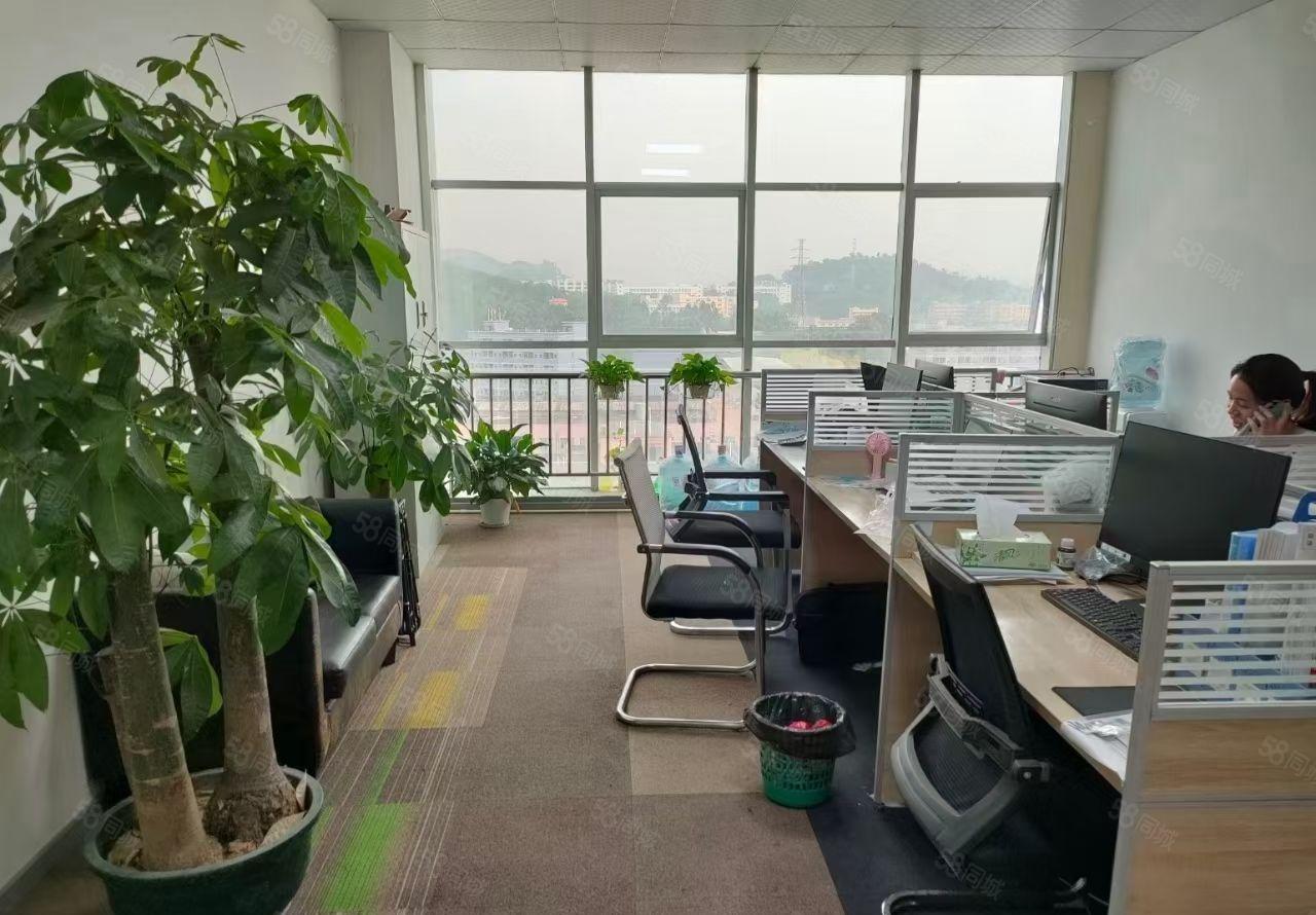 凤岗镇雁田村6楼800平方，地板漆，贸易合适，。