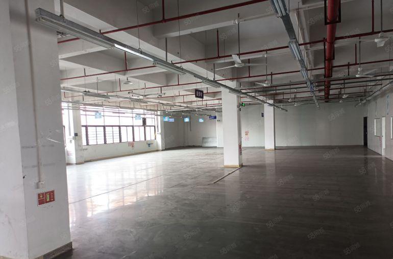 凤岗镇中心高大上园区出租1万平米带现成装修