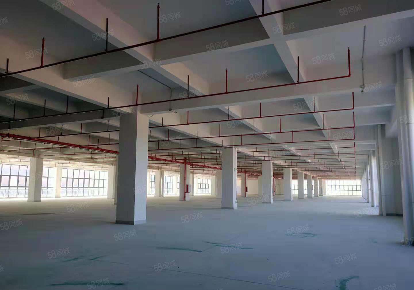 东莞塘凤清高速路出口带红本高新产业园厂房出租楼上5000平方