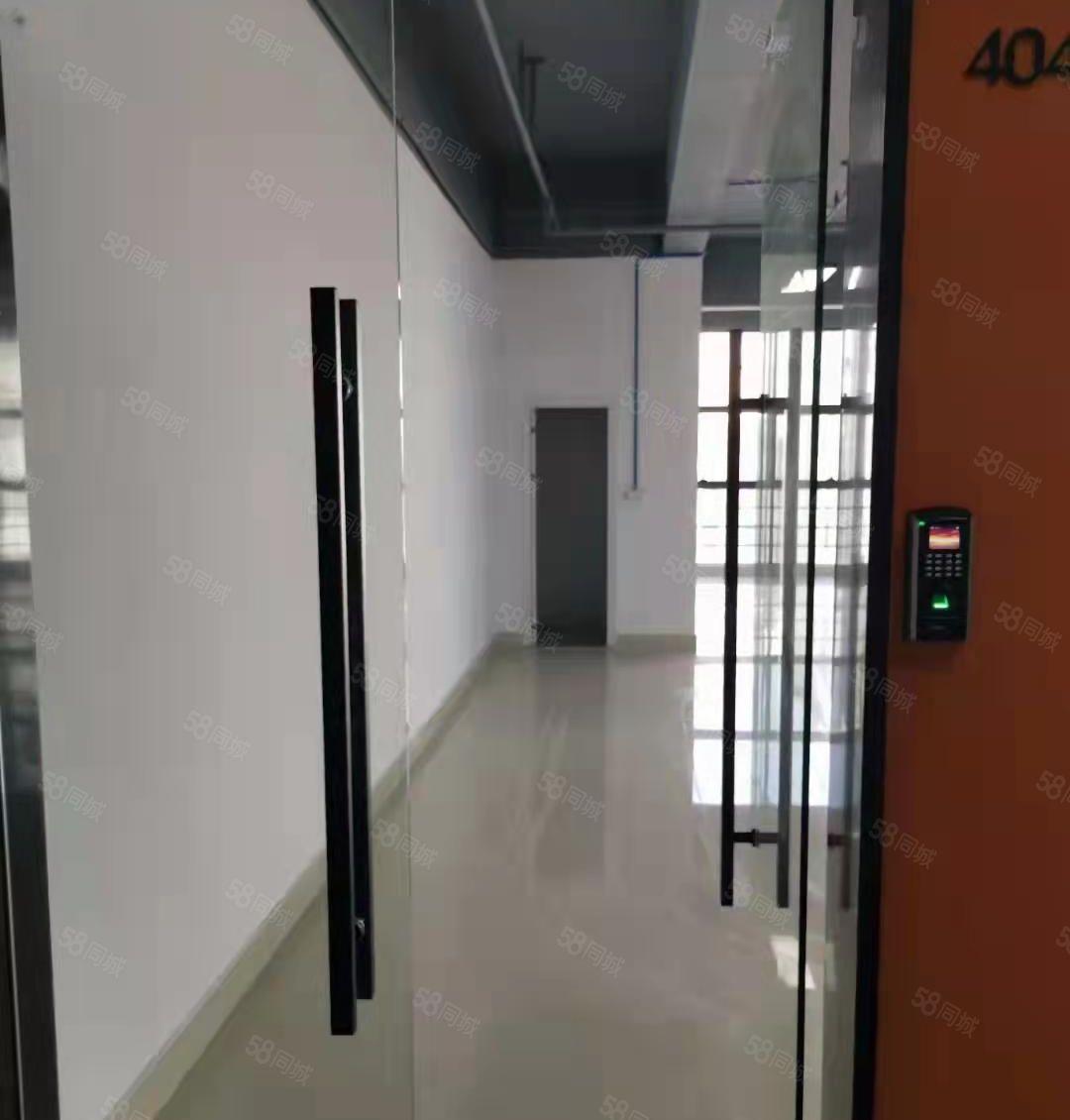 靠主干道旁 凤岗金凤凰楼上带装修电商仓库厂房出租310平方