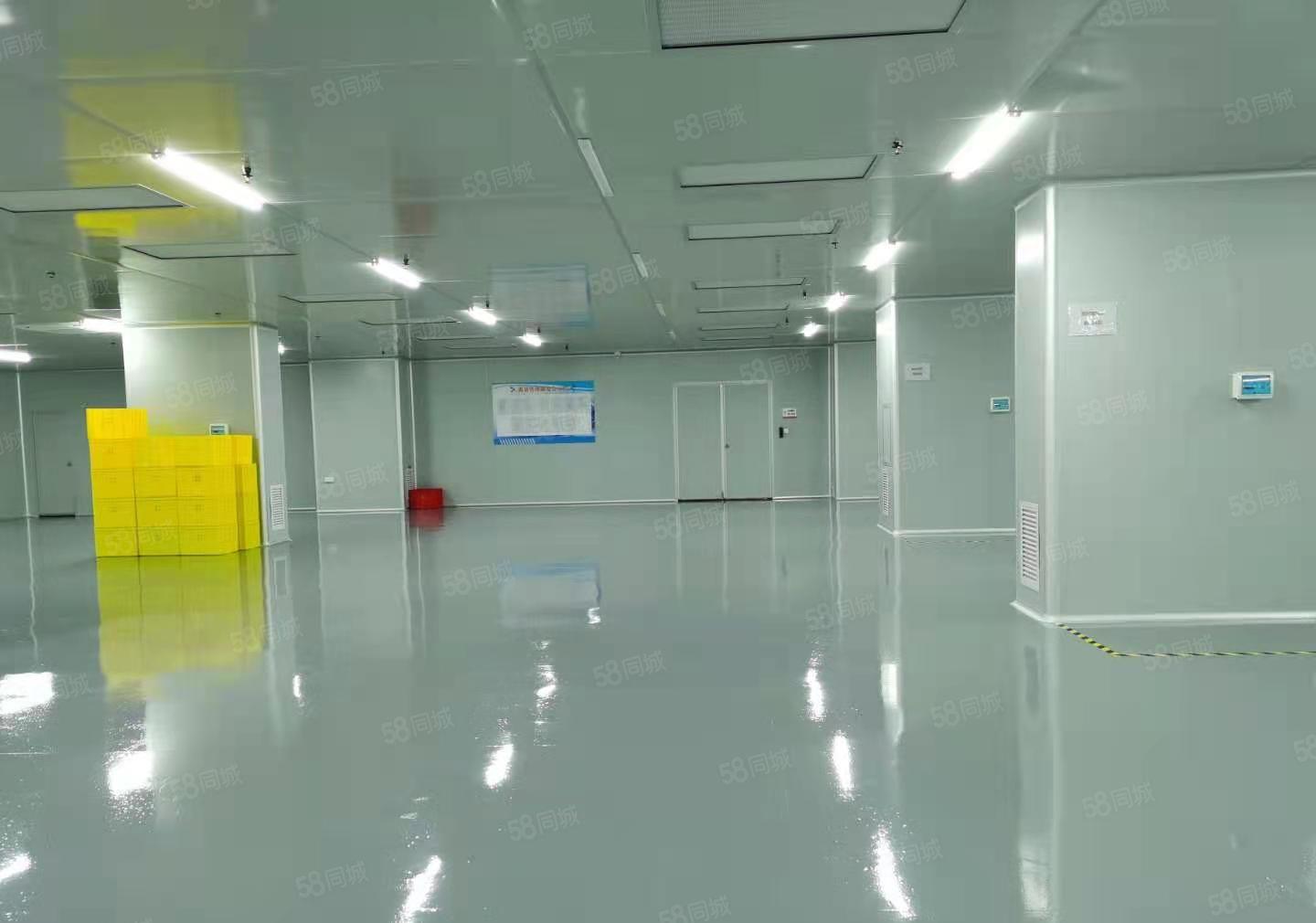 凤岗五联楼上一整层3000平无尘车间无转让费厂房仓库出租