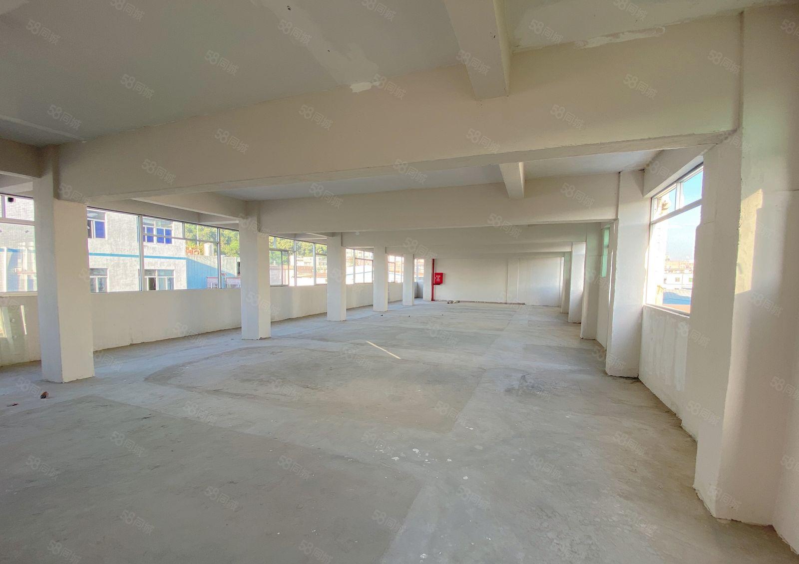 凤岗油甘埔整栋厂房大小可分现成办公室可做仓库行业不限