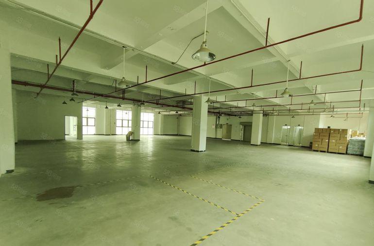 整层800平方带办公室卫生间厂房出租凤岗镇三联村