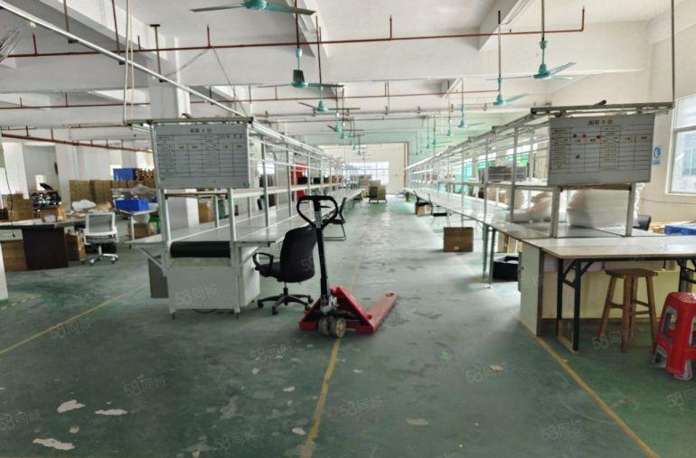 原房东出租 凤岗金凤凰楼上2000平厂房出租 有现成办公室