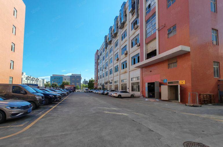 凤岗金凤凰楼上精装修无尘车间600平主干道边上