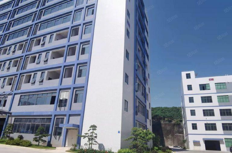 凤岗一手房东全新厂房3万平单层4000平大小可分厂房仓库出租