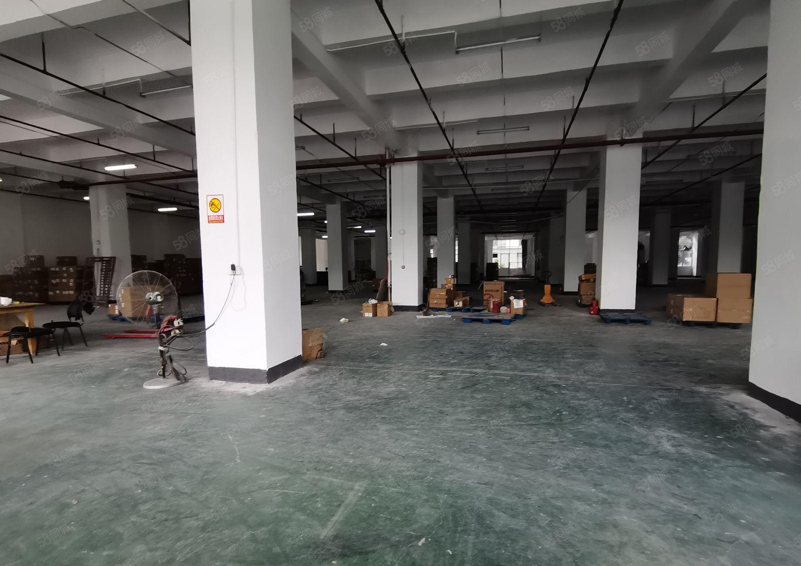 凤岗宝洲工业区原房东8千平独栋红本仓库厂房出租可分租可办环评