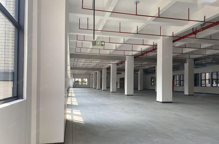 精装修高标厂房招租，红本现楼即租即用，1000平起配套完善