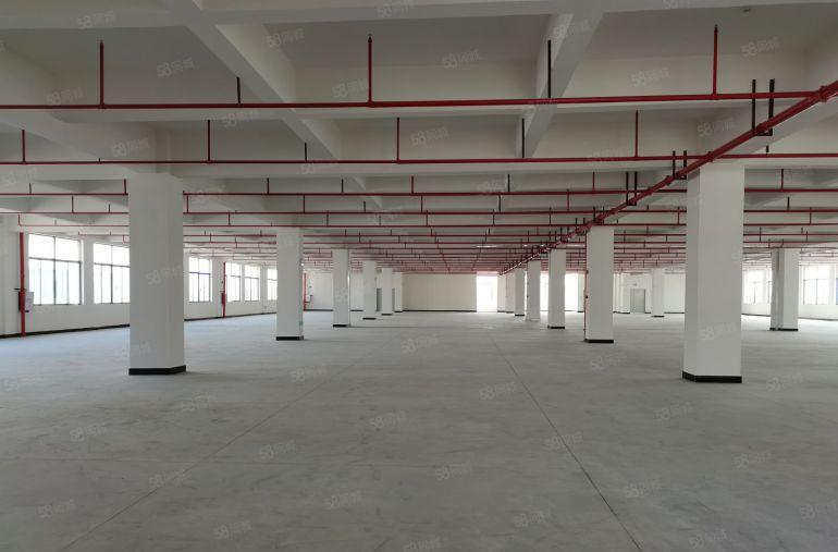 凤岗镇中心附近全新独栋标准36000重工业厂房招租