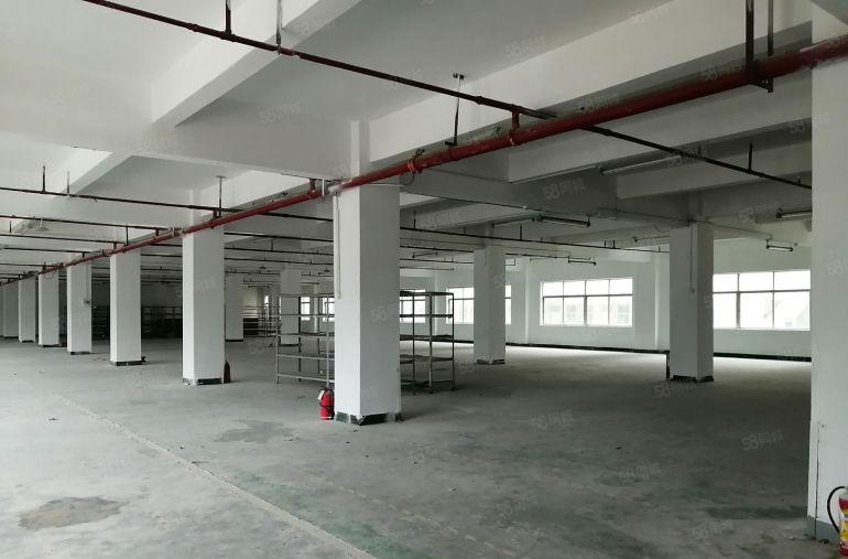 凤岗金凤凰工业区原房东独院22000平出租带办公室装修可分租