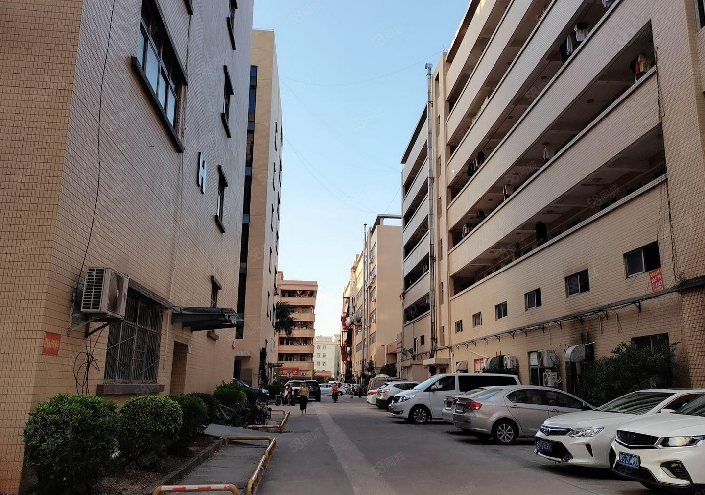 凤岗雁田布心新出4楼1000平方分租，厂房精装修，无转让费