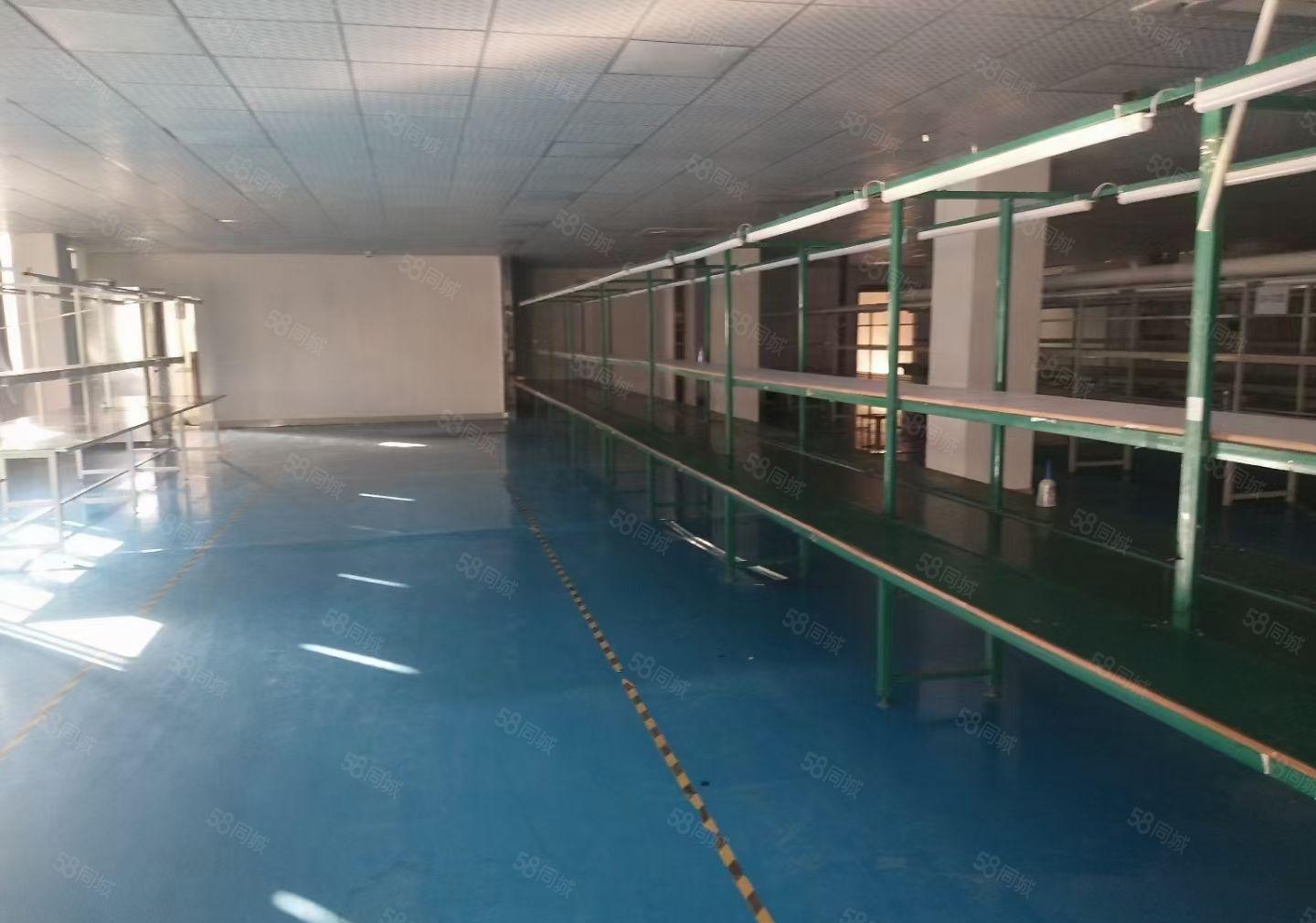 凤岗雁田二楼500平方带办公室装修厂房出租