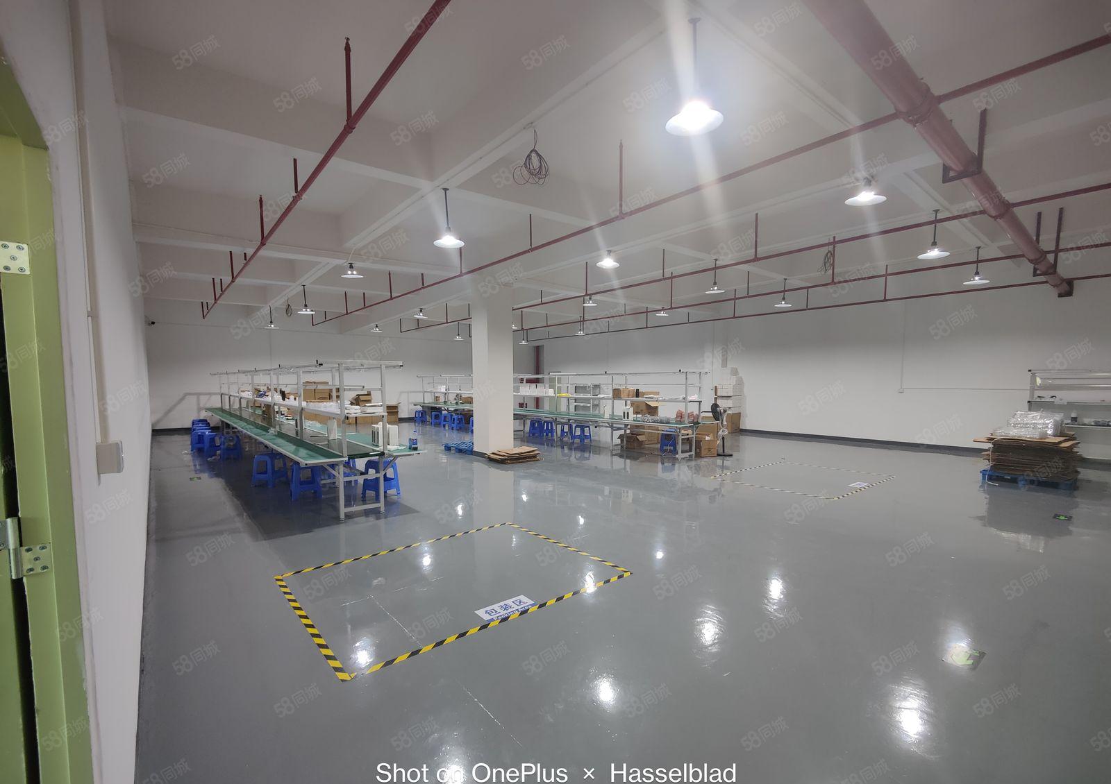 1000起租凤岗近平湖2万平物流园厂房出租带卸货平台超大空地