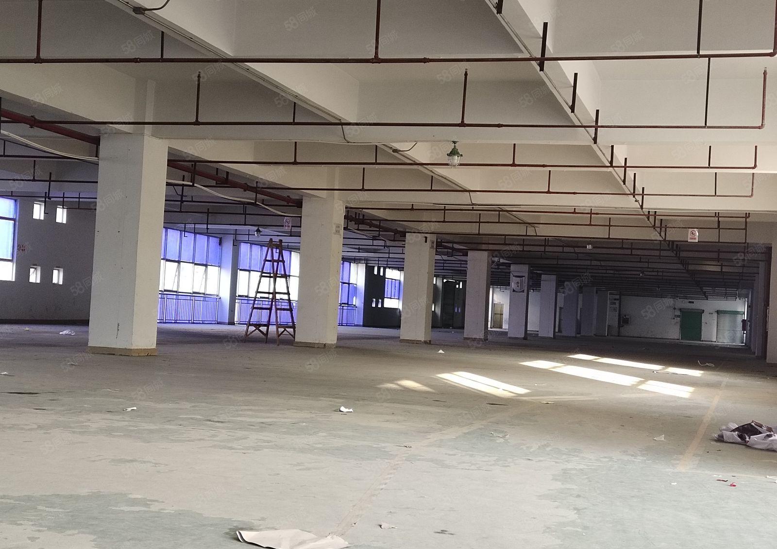 凤岗开达工业园独院2800平仓库厂房出租可分租