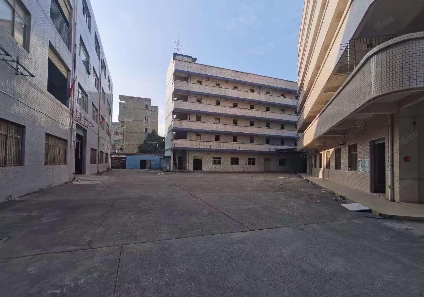 超大空地 凤岗金凤凰独院厂房出租10800平可分 适合各行业