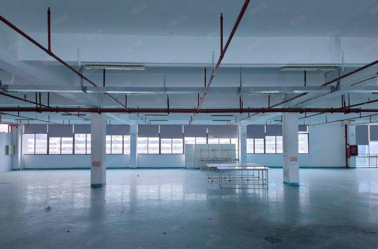 凤岗临深原房东红本独院5000平厂房仓库出租，带装修水电齐全