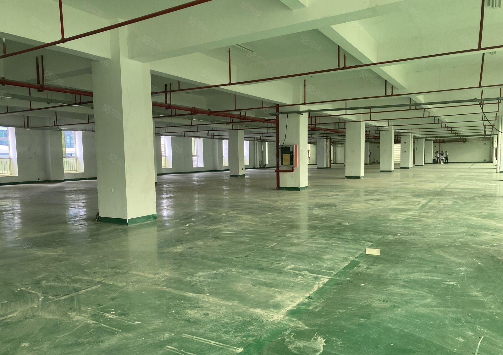 凤岗布心工业区独栋3000平红本仓库厂房出租可分租可办环评