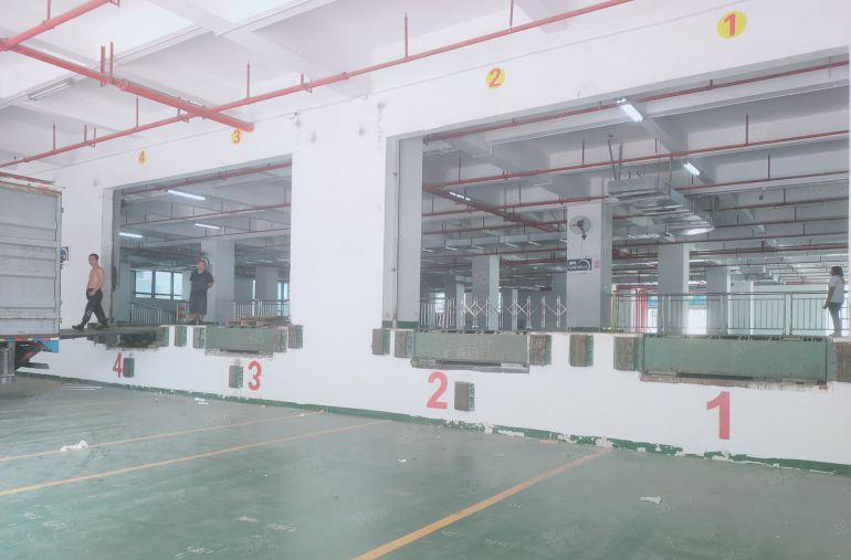 凤岗镇中心标准一楼带卸货平台厂房出租3500平 空地大无公摊