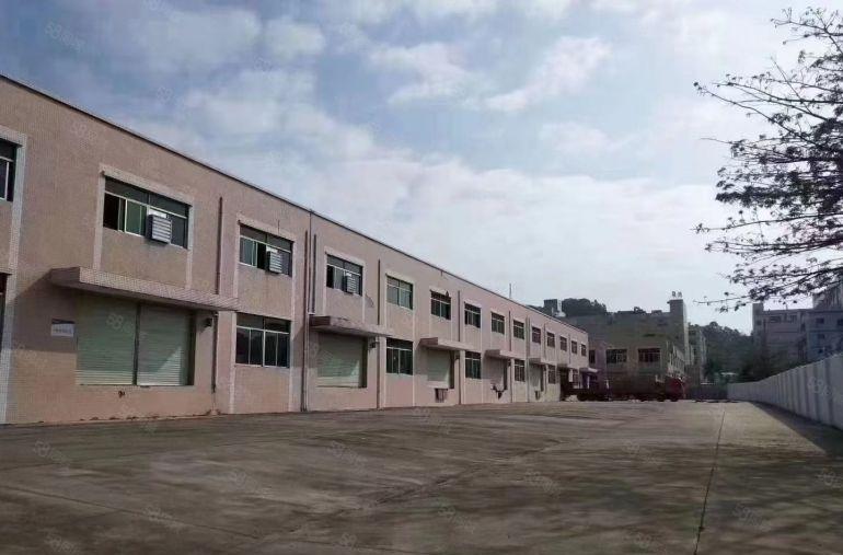 凤岗金凤凰独院实际面积7000平标准卸货平台空地大低价出租