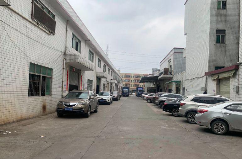 凤岗独栋砖墙钢构厂房800平方滴水10米