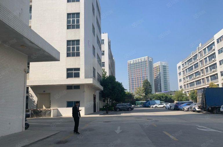 原房东厂房新出一楼800平方，居然仅租20元 性价比高