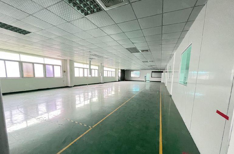 全新地坪漆天花吊顶现成装修办公室厂房出租1250平凤岗黄洞