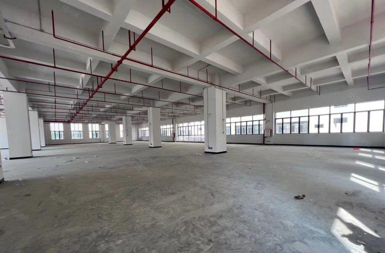 新出！凤岗红本3万平方厂房招租，临深国道旁，工业用地