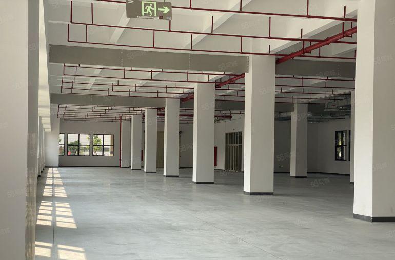 精装修高标厂房招租，红本现楼即租即用，1000平起配套完善